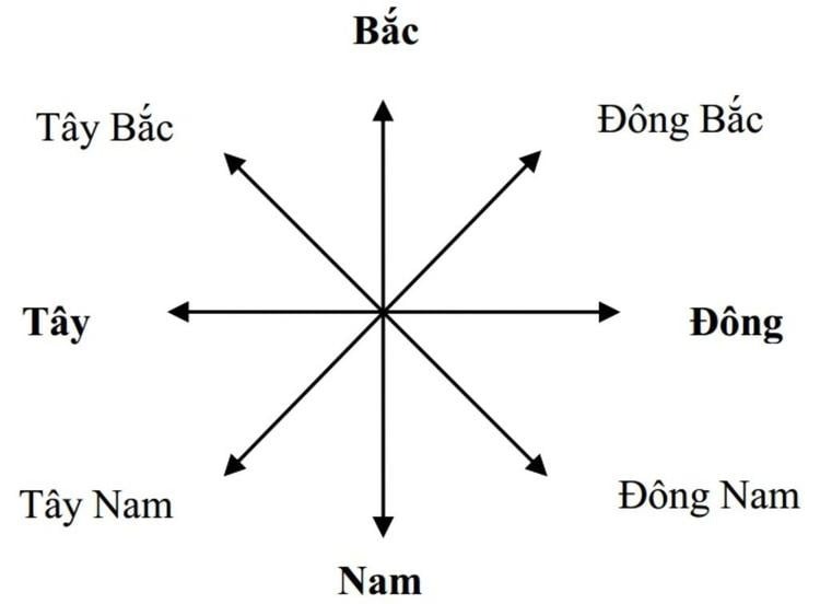Người mệnh mộc hợp hướng nào?
