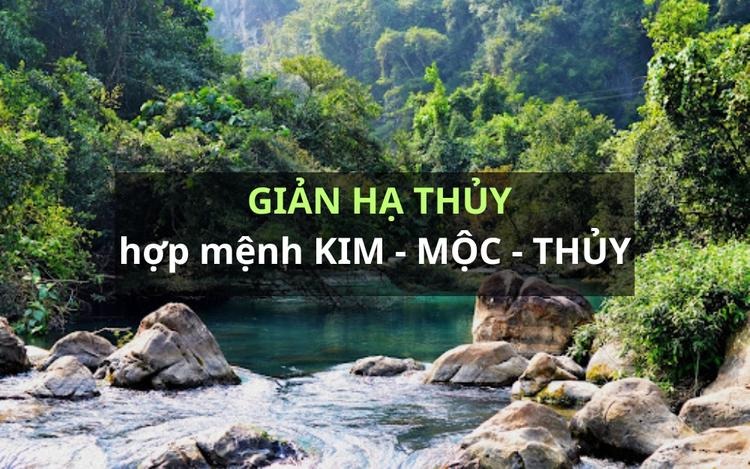 Mệnh Giản Hạ Thủy hợp mệnh gì?