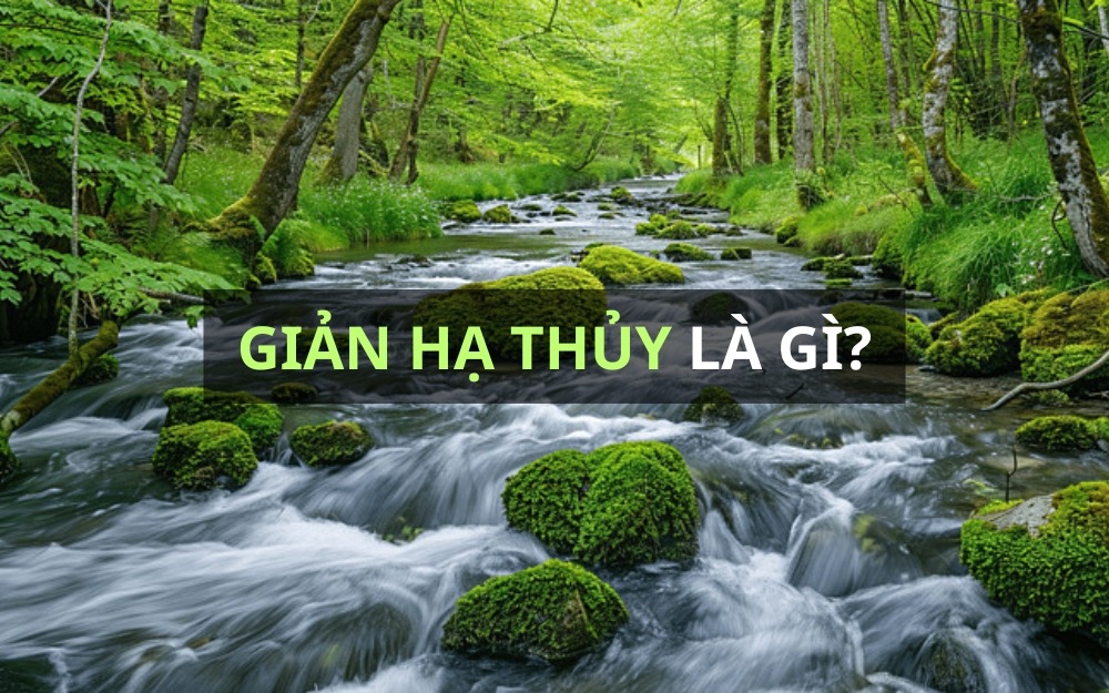 Giản Hạ Thủy nghĩa là nước dưới khe. 