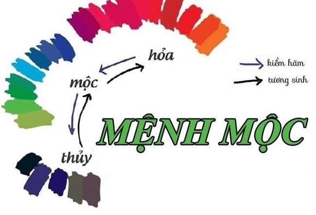 Nữ mệnh Mộc hợp màu gì?